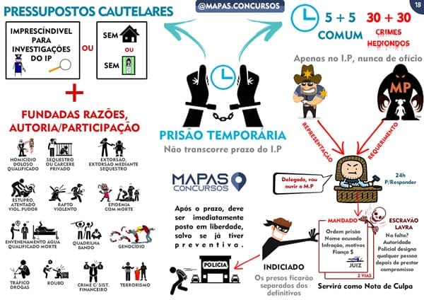 Mapas Mentais Ilustrados Para Carreiras Policiais